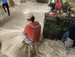 Indonesian natural rattan raw materials (FSC certificate)